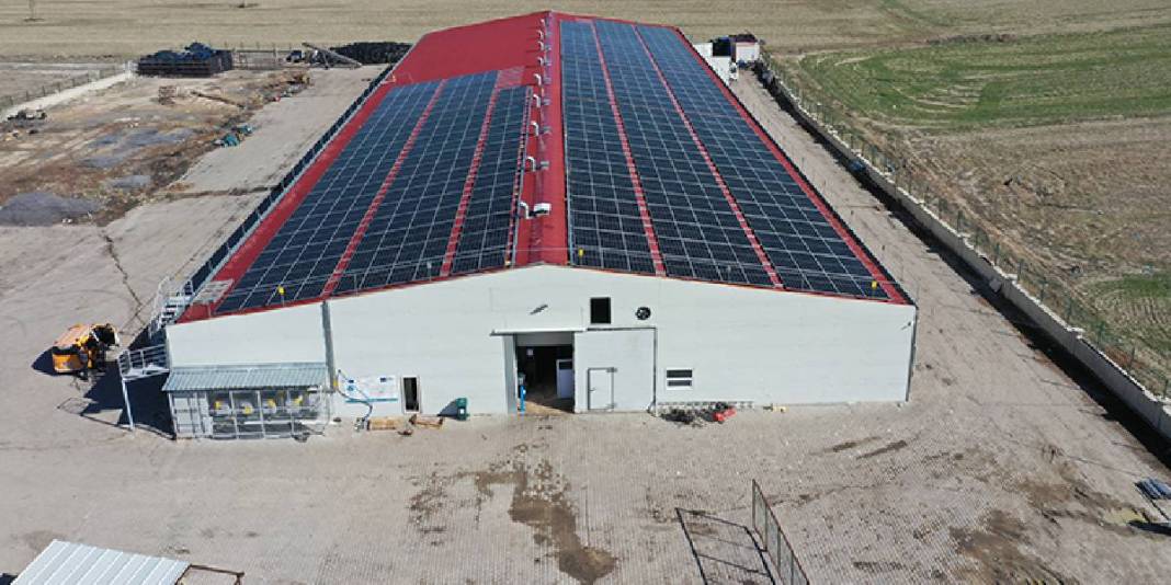 %55 hibeyle kurduğu tesis arı gibi işliyor: Günde 2, ayda 60 ton üretim yapıyor! 3